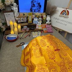 宠物家长客户见证