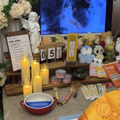 宠物家长客户见证