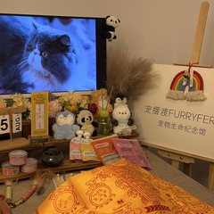 宠物家长客户见证
