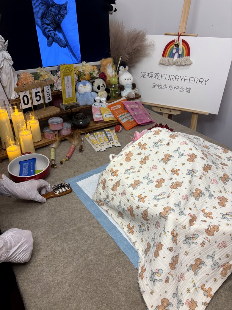 北京宠物殡葬门店告别厅环境