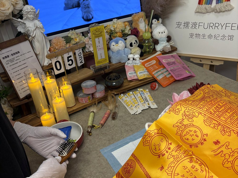 宠物告别仪式现场布置